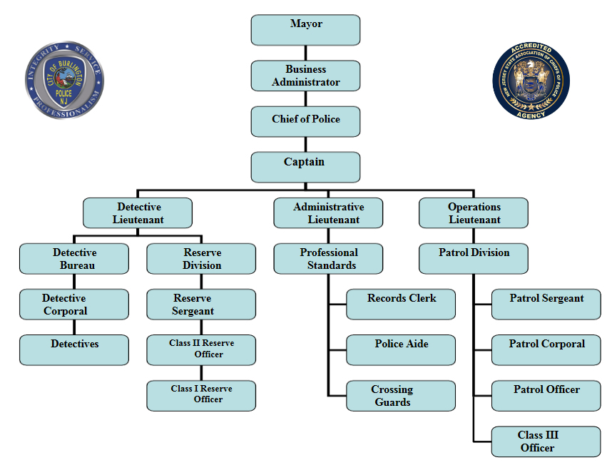 Organizational Chart – Burlington City Police Department